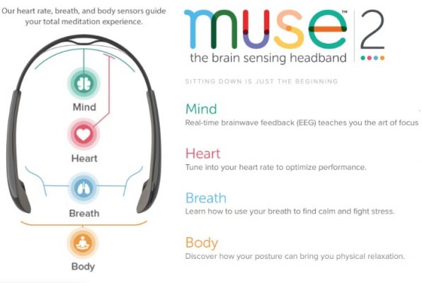 brain activity tracker