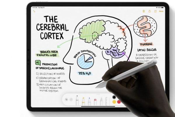 apple pencil second gen - Top 10 iPad pro accessories must have in 2020