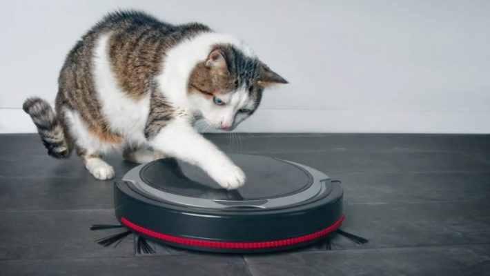 What are the best robot vacuums for pet hair 2020?