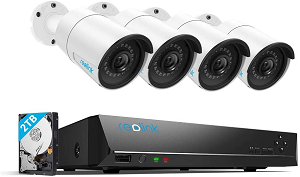 Can Reolink 4MP 8CH PoE video surveillance system record audio?