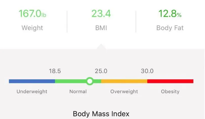 RENPHO Body Fat Scale Review BMI